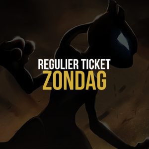 Regulier Ticket Zondag