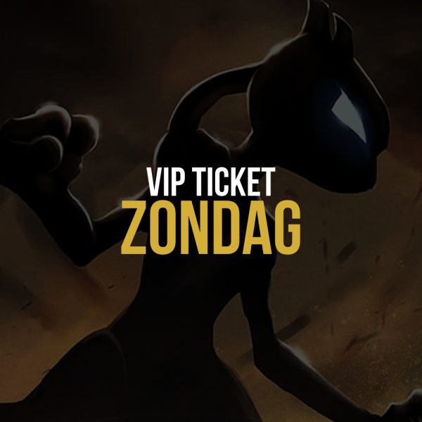 VIP Ticket zondag